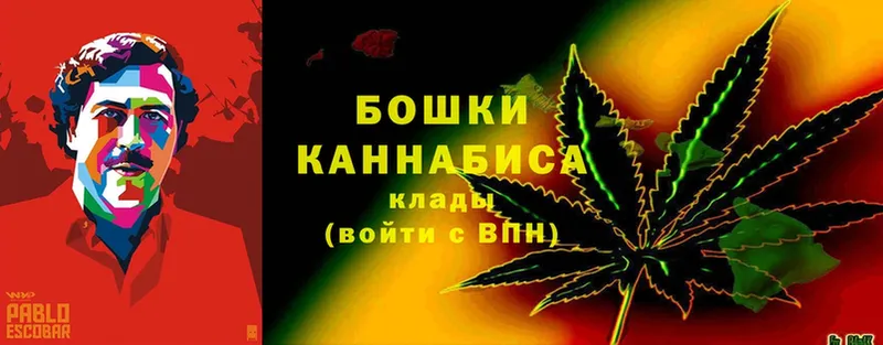 hydra онион  Тбилисская  Бошки марихуана OG Kush 